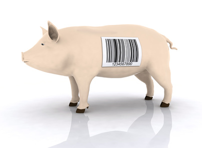 Pig with Bar Code